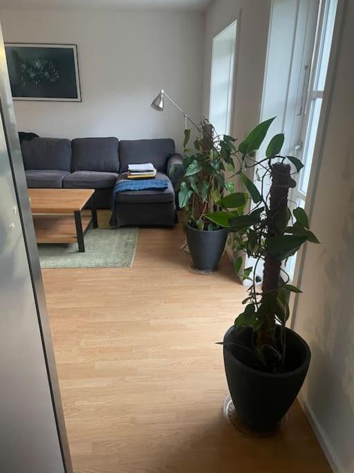 2 Bedroom Apartment Near The Sea 티스빌델레제 외부 사진